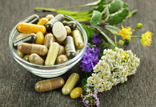 Piante officinali o medicinali Cosa sono