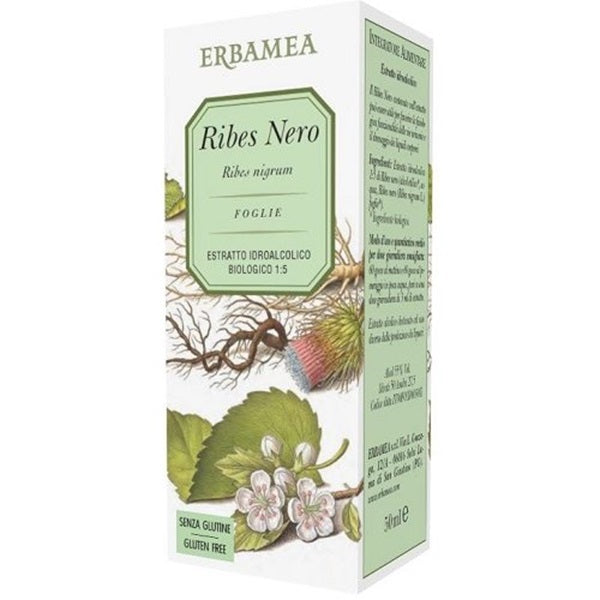 RIBES NIGRUM GEMMODERIVATO
