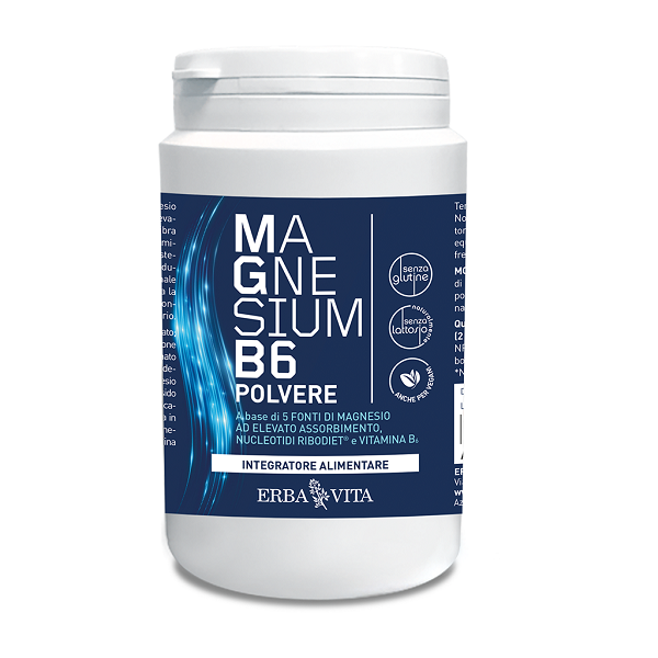 MAGNESIUM B6 POLVERE