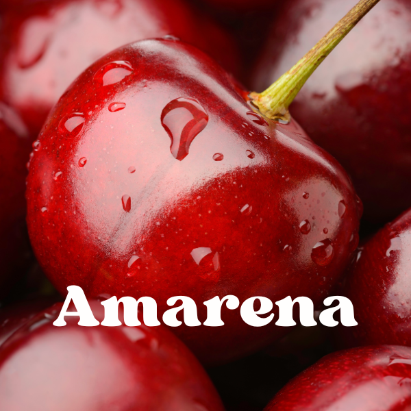 AMARENA
