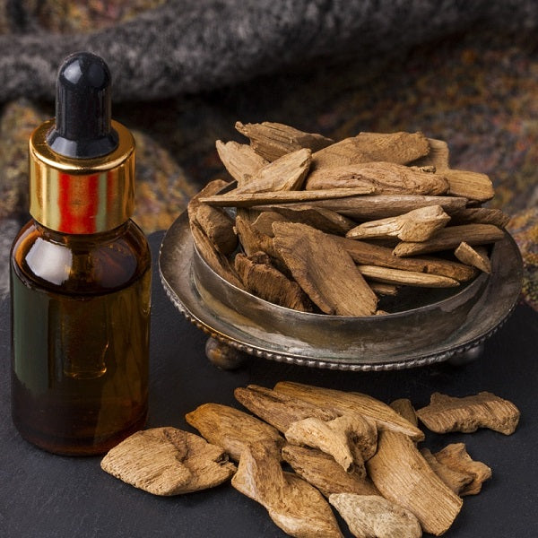 OUD LA REGINA DELLE RESINE