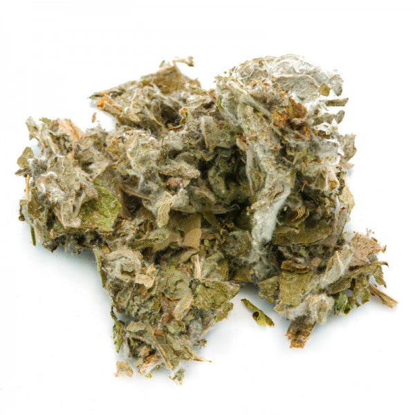 CARCIOFO FOGLIE TT 100g