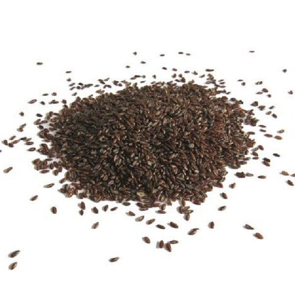 PSILLO SEMI NERI LUCENTI CUTICOLA 100g